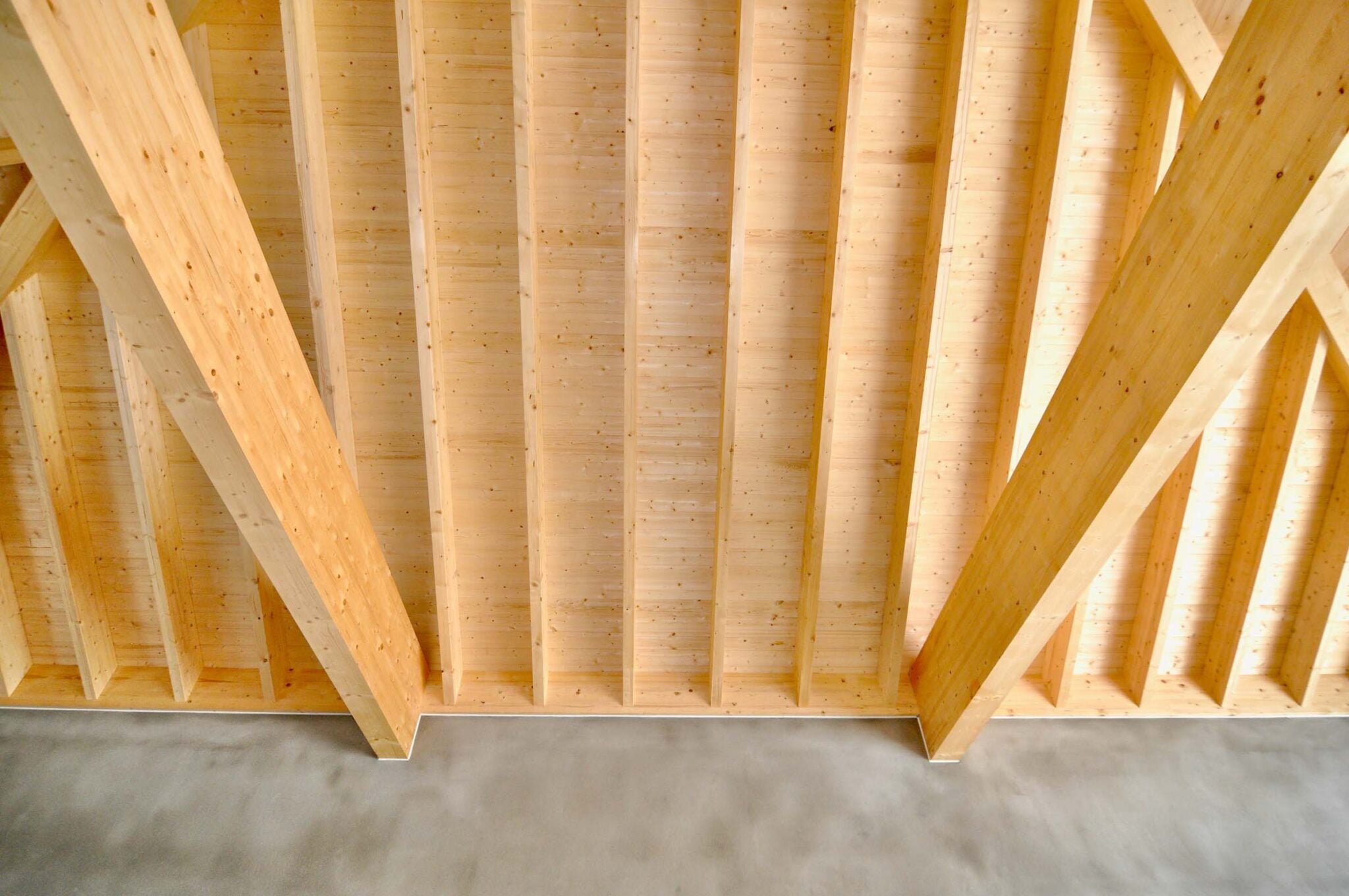 Dachstuhl aus hellem Nadelholz von innen mit sichtbaren Sparren