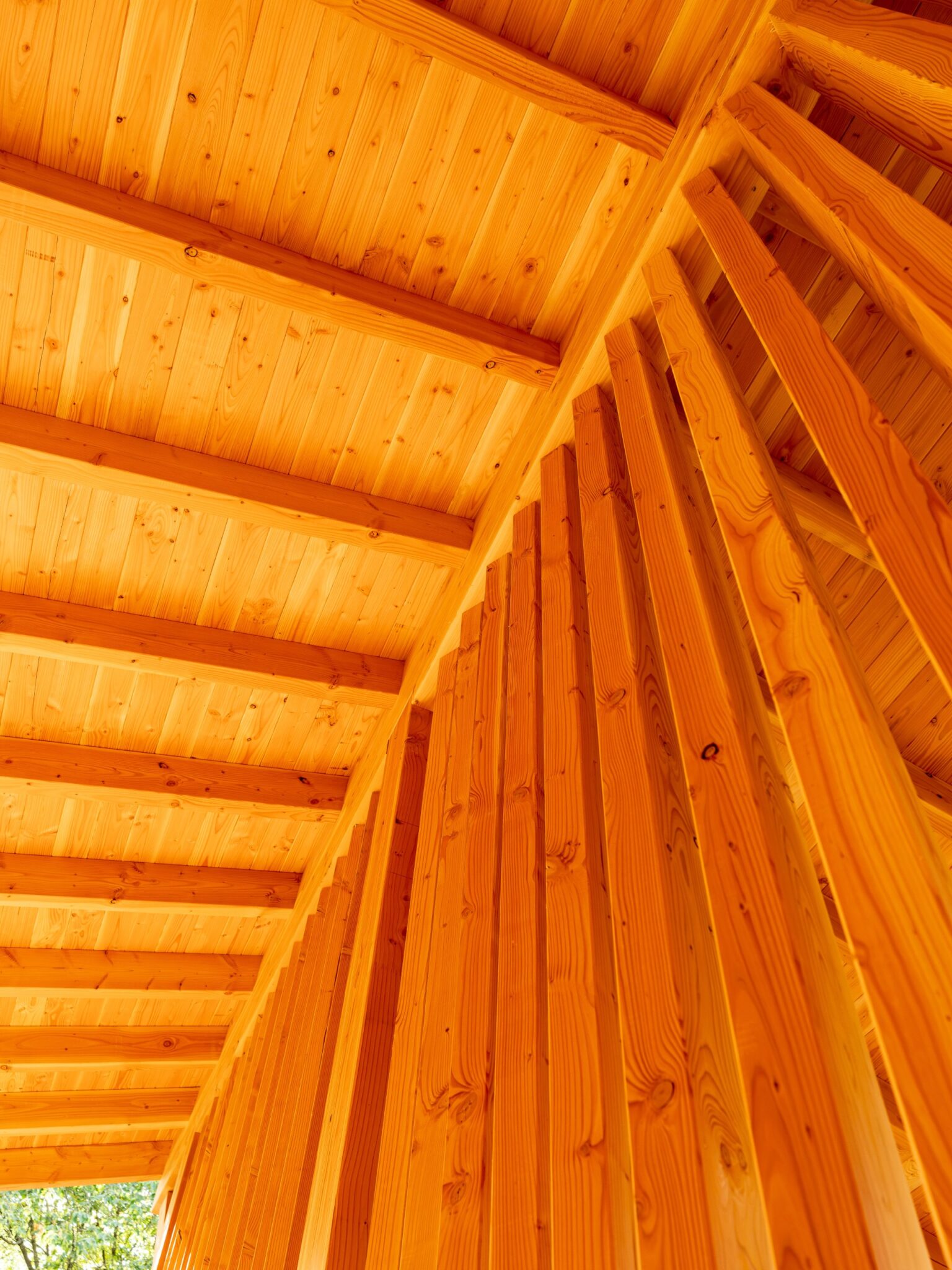 Untersicht der Dachkonstruktion aus Holz